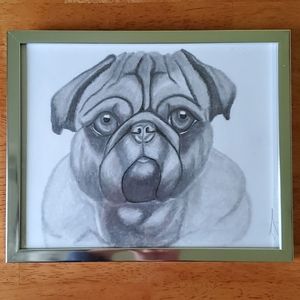 Original, French Bulldog Graphite sketch